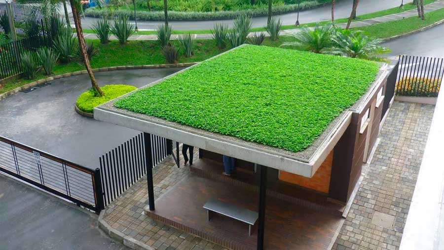 Crean techos verdes que disminuyen temperatura de las casas en zonas de extremo calor