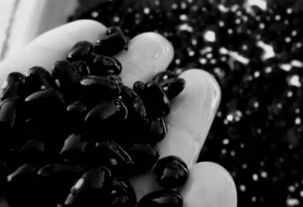 Mexicanos crean bebida antidiabética con frijol negro y maíz azul
