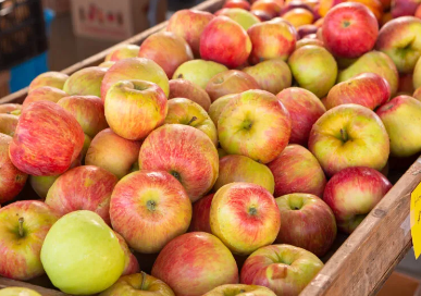 Investigadores estadounidenses secuencian el genoma de la variedad de manzana Honeycrisp