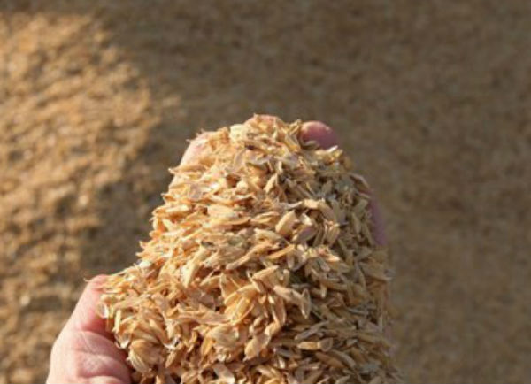 Crean un fertilizante a partir de desechos de arroz que duplica la producción de cultivos