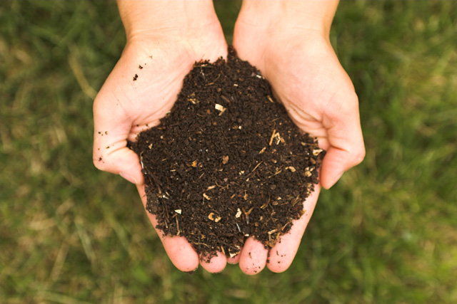 La vida en el suelo y el humus. Tipos de compost, preparación, usos y manejos recomendados